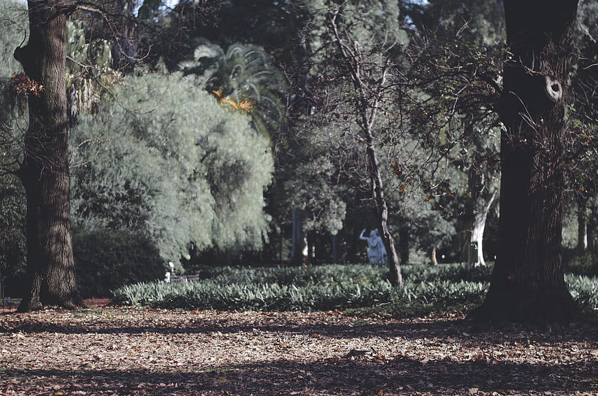 Shaded park path with fallen leaves and distant statue