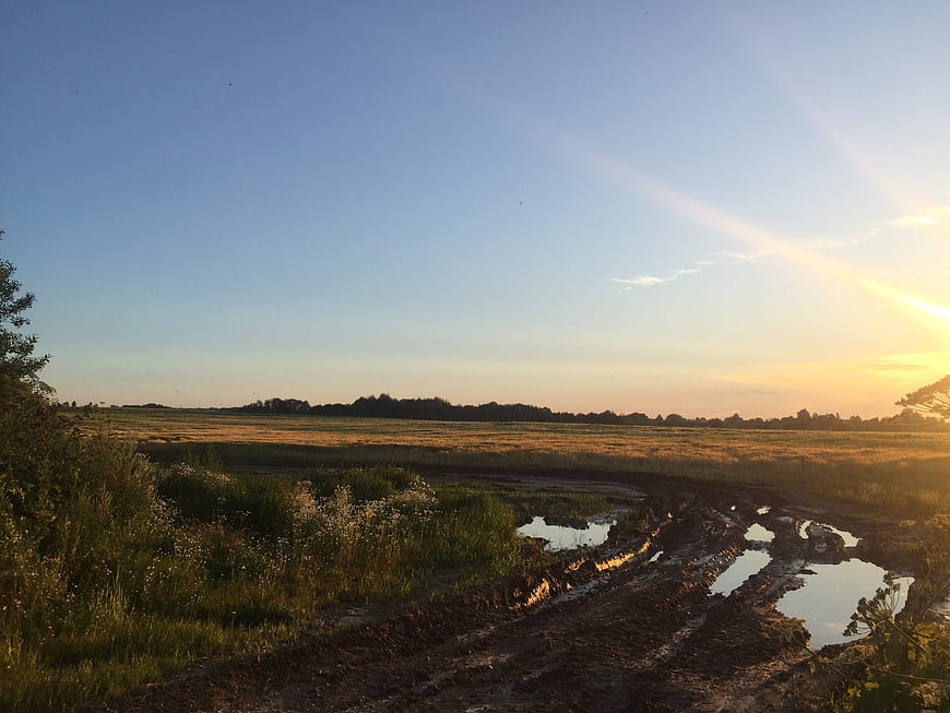 Muddy rural road with puddles at golden hour sunset