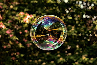 Iridescent Soap Bubble Floating Against Blurred Green Garden Background
