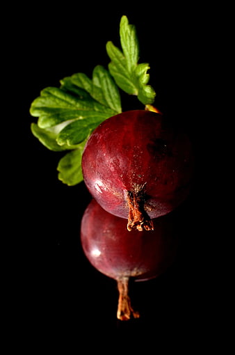 Close-up of Red Currants with Green Leaves on Black Background