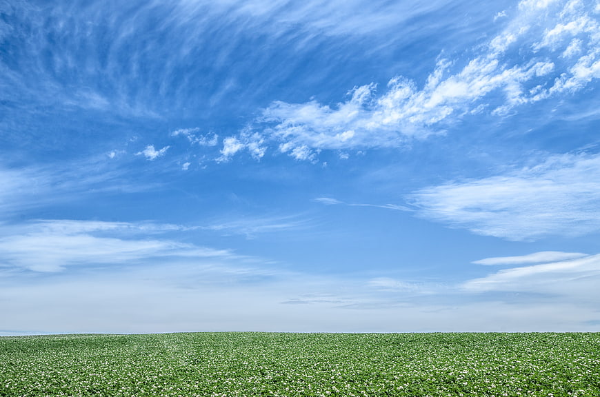 Vast Green Field Under Blue Sky with Wispy Clouds