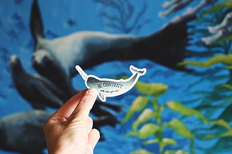 Hand holding whale sticker with inspirational quote in front of aquarium