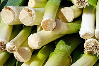 Fresh Leeks Close Up With Cut Ends And Green Stalks