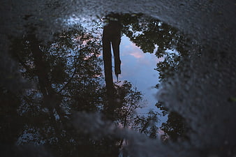 Reflection of trees and sky in a dark rain puddle
