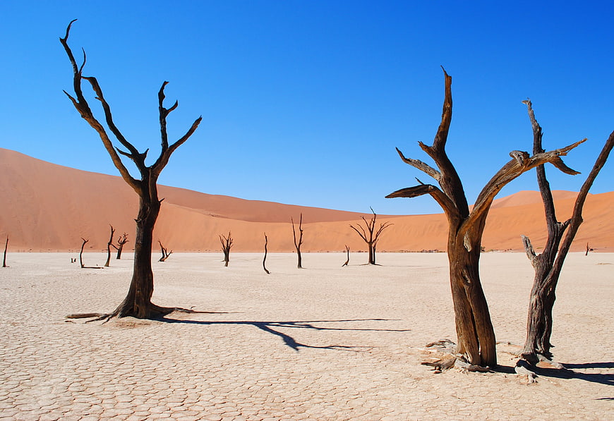 Dead Vlei Namibia: Skeleton Trees in Orange Sand Dunes