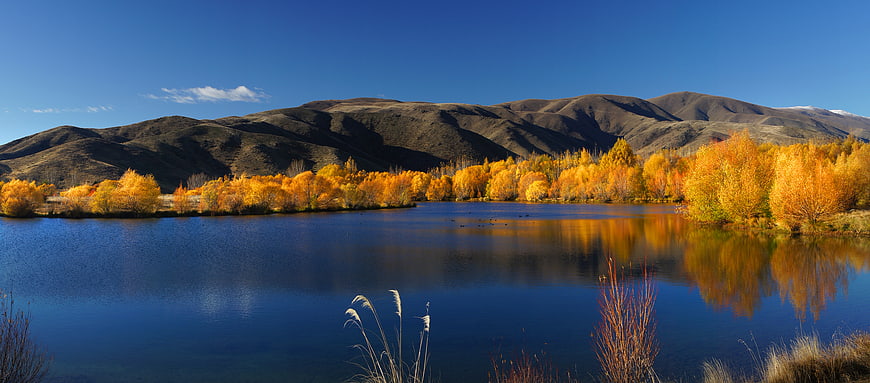 Panoramic autumn landscape with golden trees and blue lake