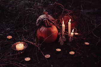 Halloween pumpkins and candles in dark forest setting