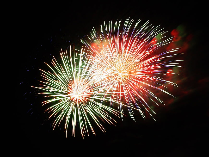 Colorful Fireworks Exploding in Night Sky