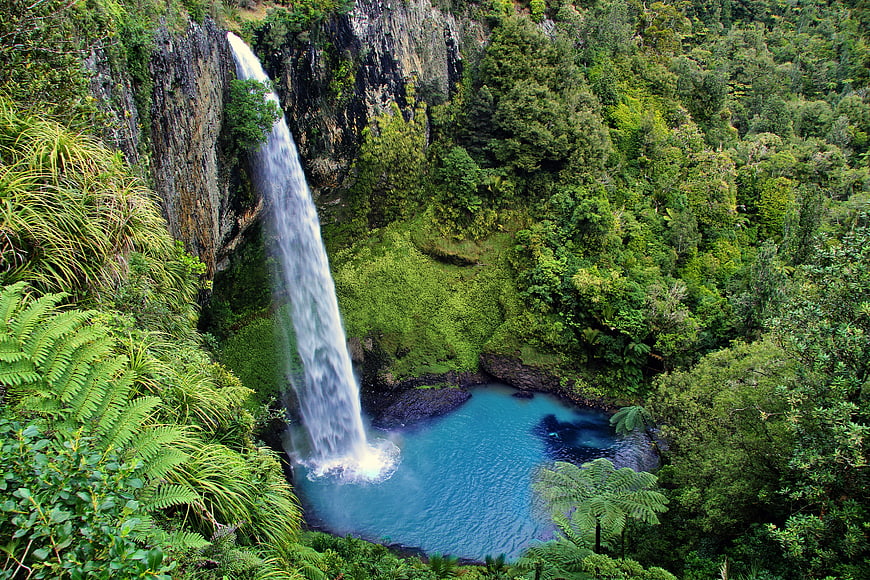Bridal Veil Falls Waterfall in Lush New Zealand Forest
