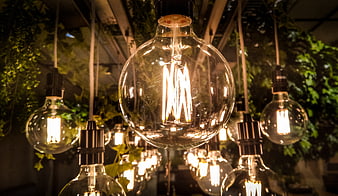 Vintage Edison light bulbs hanging with greenery background