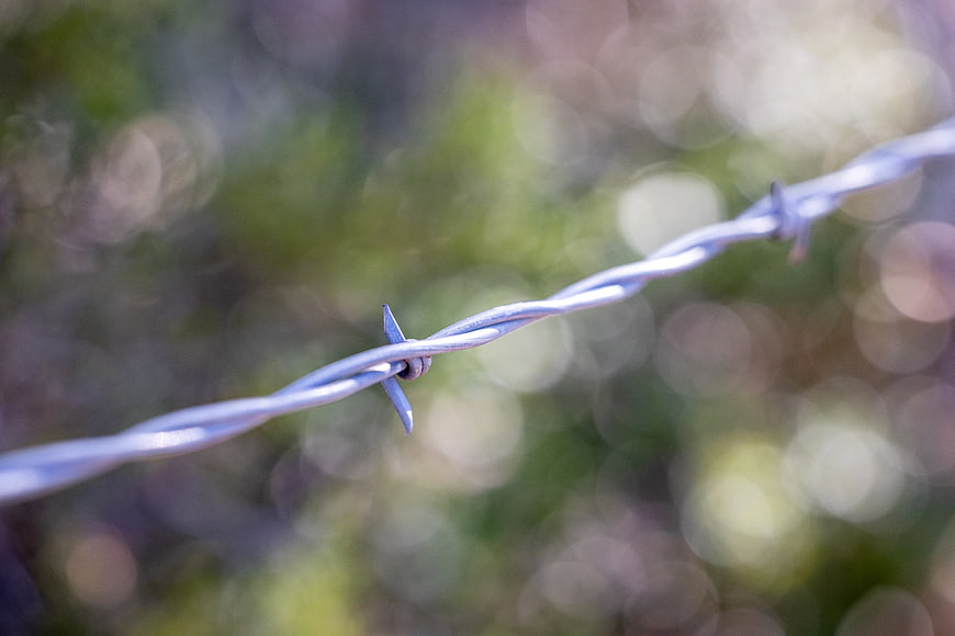 Close-up of barbed wire fence with blurred green bokeh background