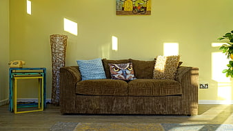 Modern Living Room with Brown Sofa and Sunlight