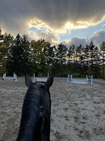 First Person View Riding Horse in Outdoor Arena