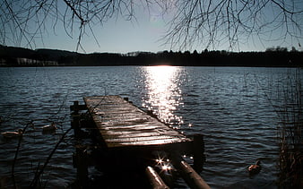 Wooden Dock on Lake with Sun Reflection and Ducks