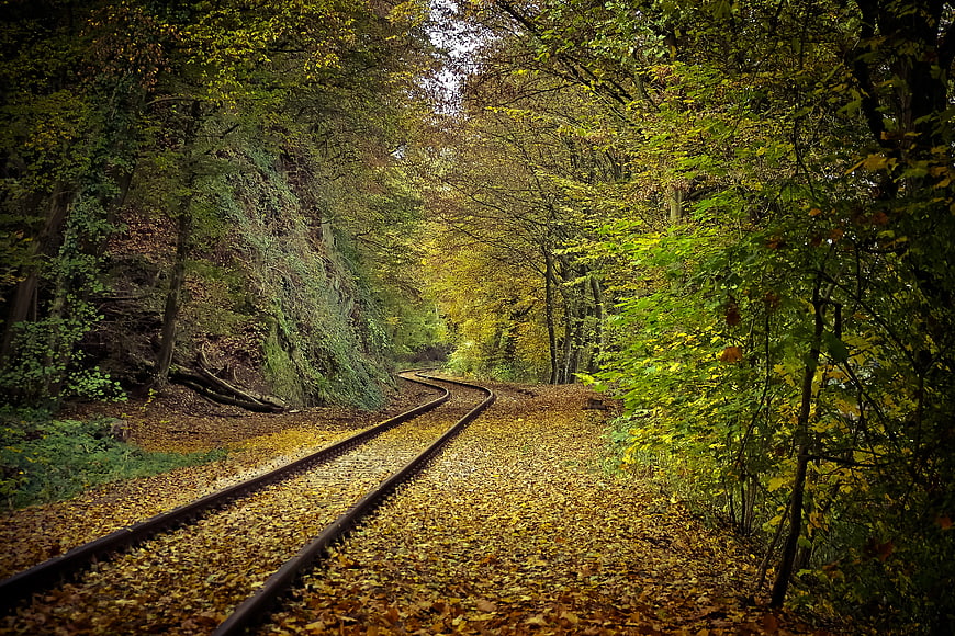 Curved Railway Tracks Through Autumn Forest with Fallen Leaves