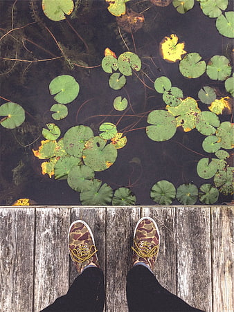First-person view of camouflage sneakers on wooden dock over lily pads