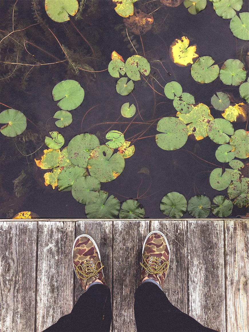 First-person view of camouflage sneakers on wooden dock over lily pads