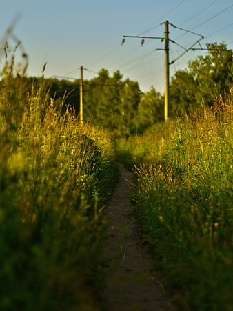 Narrow dirt path through tall grass near railway tracks