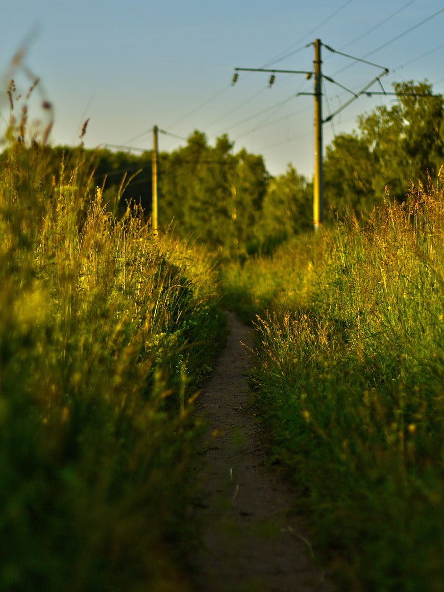 Narrow dirt path through tall grass near railway tracks