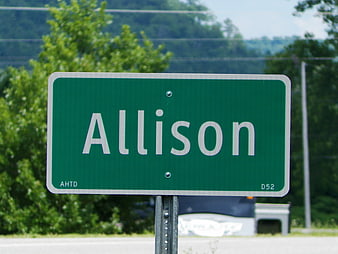 Green Allison Road Sign With Blurred Green Foliage Background