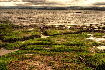HDR coastal landscape with green mossy rocks and ocean