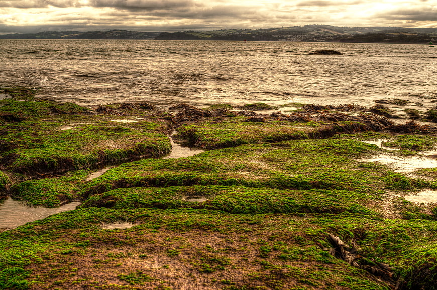 HDR coastal landscape with green mossy rocks and ocean