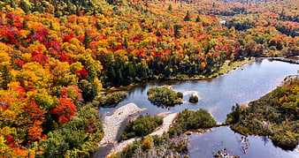 Aerial View of Vibrant Autumn Forest and Winding River
