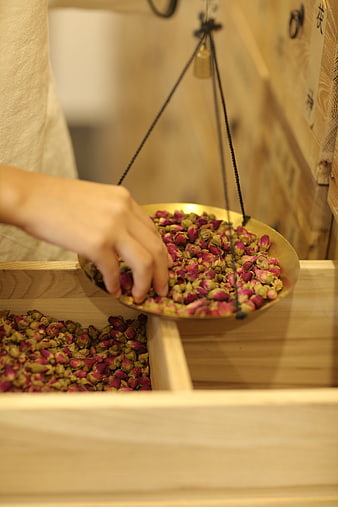 Hand Weighing Dried Rose Buds on Traditional Balance Scale