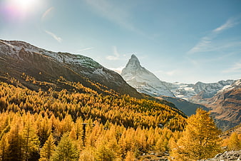 Matterhorn Mountain Peak With Golden Autumn Larch Forest