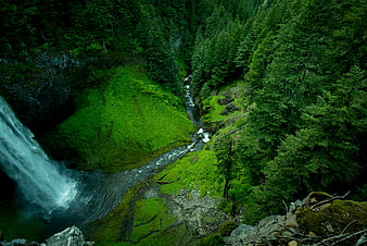 High Angle View of Waterfall in Lush Green Forest