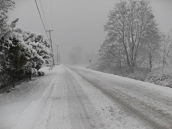 Snowy rural road with tire tracks and bare trees in winter storm