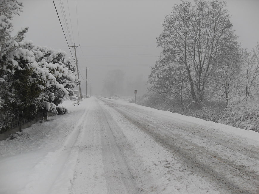 Snowy rural road with tire tracks and bare trees in winter storm