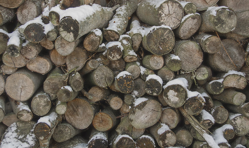 Stacked firewood logs covered in snow