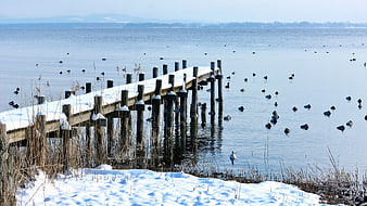 Snowy wooden pier extending into calm winter lake with ducks