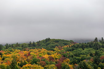 Aerial View of Colorful Autumn Forest in Fog