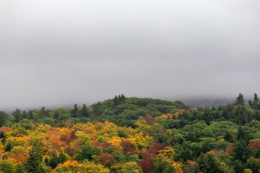 Aerial View of Colorful Autumn Forest in Fog