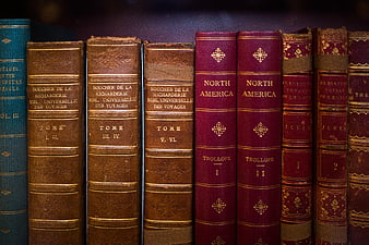 Vintage leather-bound books on a library shelf