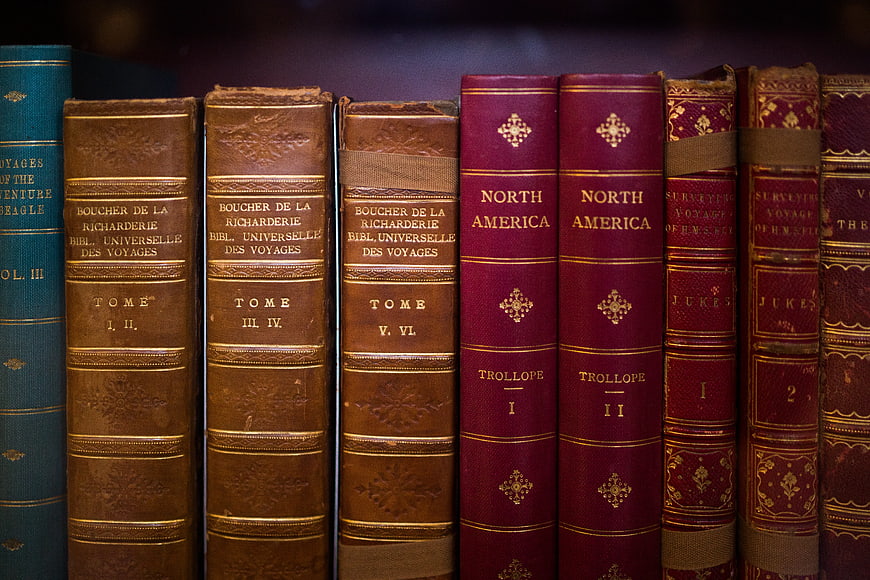 Vintage leather-bound books on a library shelf