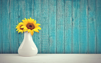 Sunflowers in White Vase on Blue Wooden Background