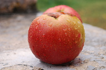 Fresh Red Apple with Water Droplets on Stone Surface
