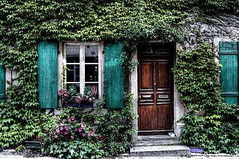 Ivy-Covered Old House Facade With Green Shutters And Wooden Door