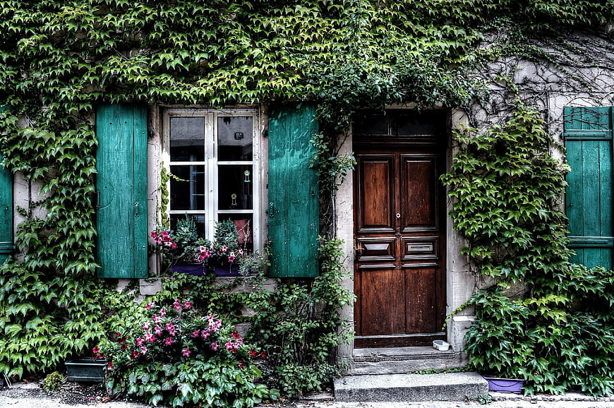 Ivy-Covered Old House Facade With Green Shutters And Wooden Door