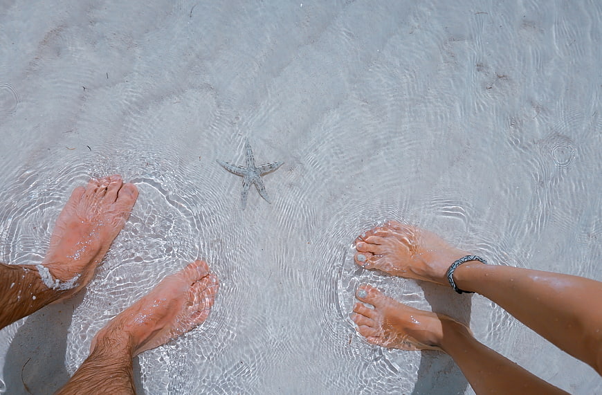 Couple's feet in shallow ocean water with starfish
