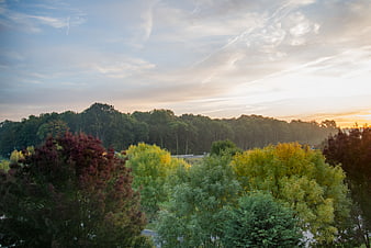 Colorful autumn forest trees at sunset with blue sky