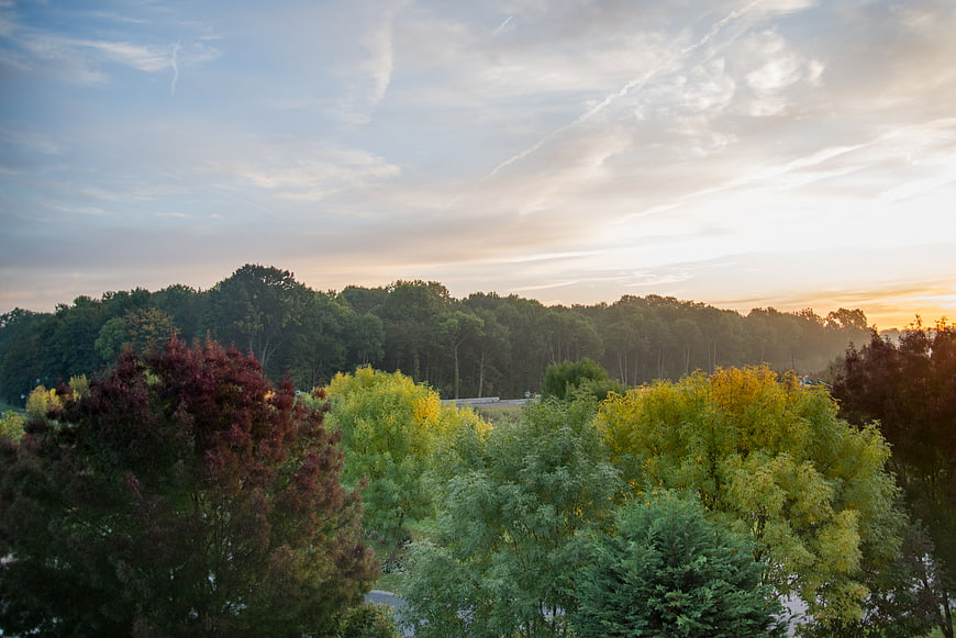 Colorful autumn forest trees at sunset with blue sky