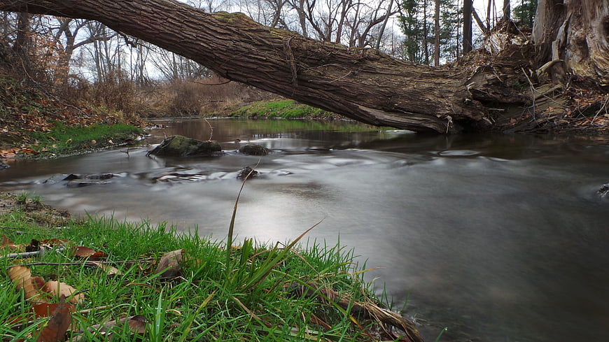 Fallen tree over serene autumn stream with long exposure water