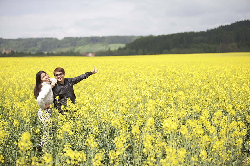 Happy couple hitchhiking in yellow rapeseed field
