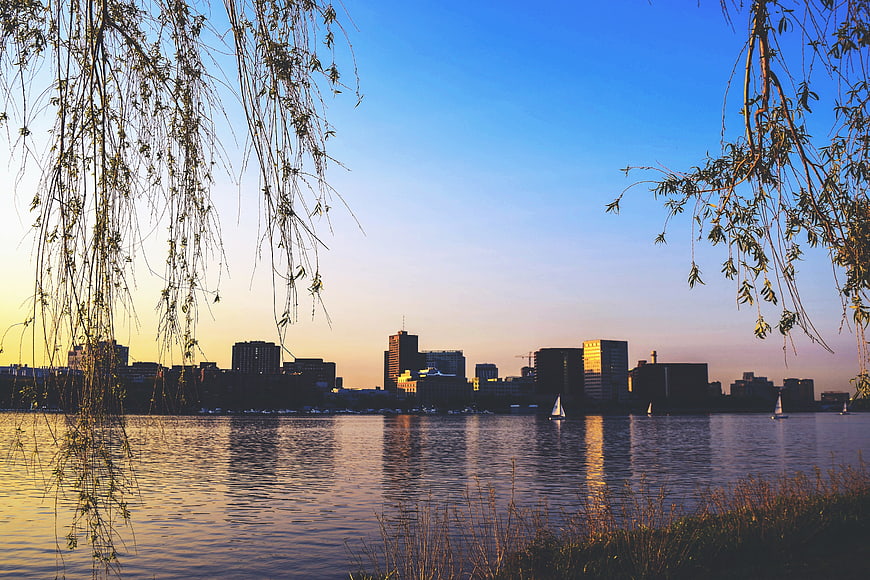 City Skyline at Sunset Framed by Willow Branches