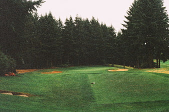 Golf Course Fairway with Sand Traps and Pine Trees