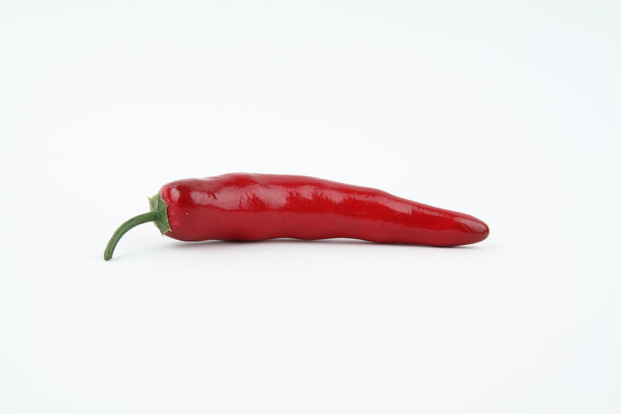 Single Fresh Red Chili Pepper Isolated on White Background